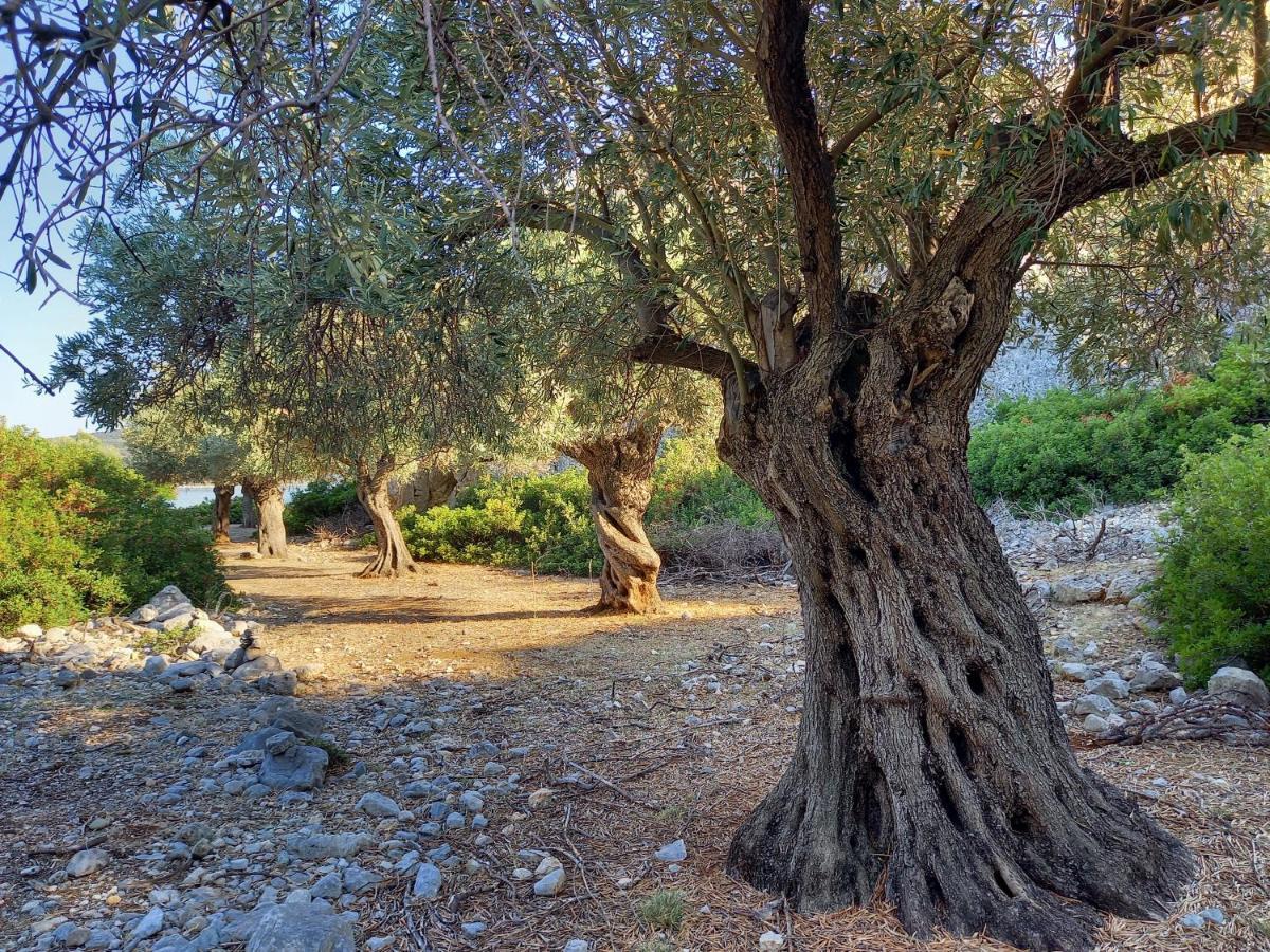 הוילה Steni Vala Alonissos Chelidonia מראה חיצוני תמונה